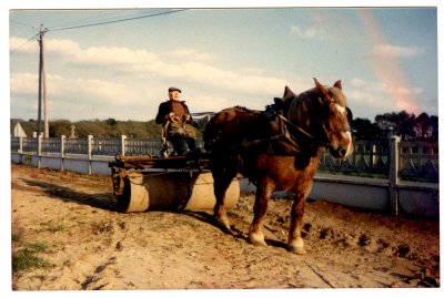 <p>À Kerlavy-en-Guérande, en 1975, chez son fils Marcel. Joseph avait conservé sa charrue après l'arrêt de son travail à la ferme à Bissin (en arrière plan : Martine Sabel).</p>© Fonds Martine Gergaud - Collection [P.M.->33] - 022